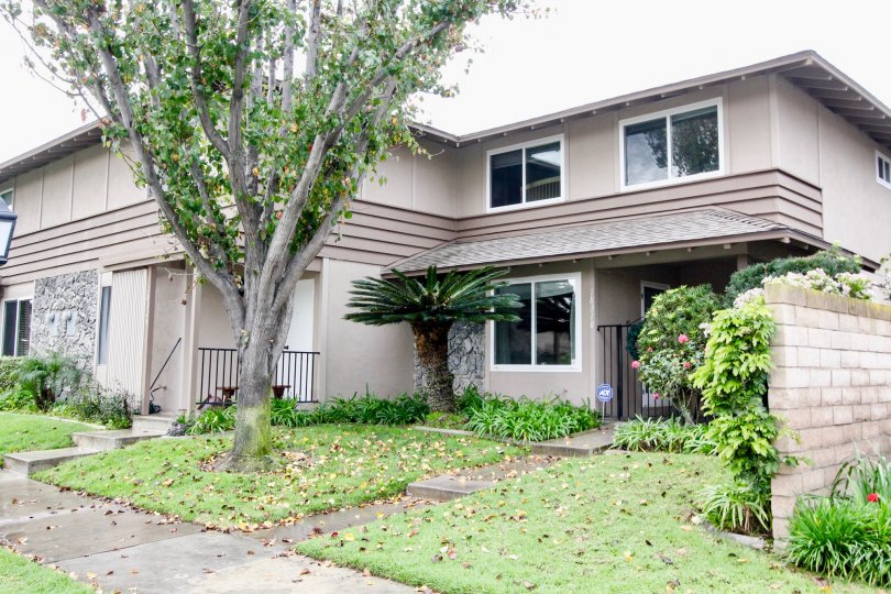 Fountain Plaza Condos, Lofts & Townhomes For Sale Fountain Plaza Real