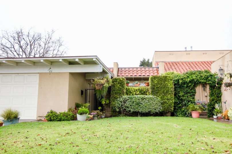 Green Valley Townhomes Condos, Lofts & Townhomes For Sale Green