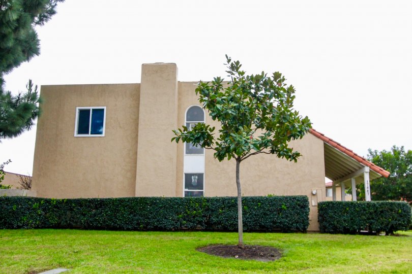 Green Valley Townhomes Condos, Lofts & Townhomes For Sale Green