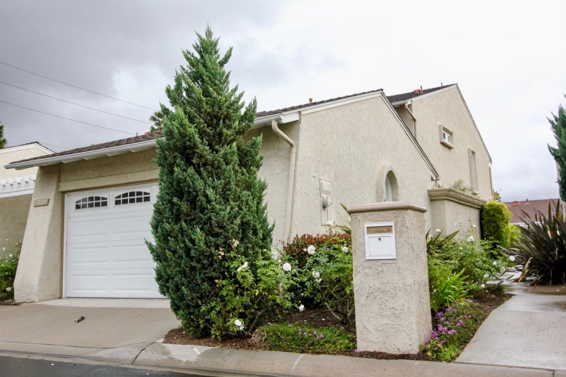 Green Valley Warner Village Condos, Lofts & Townhomes For Sale Green