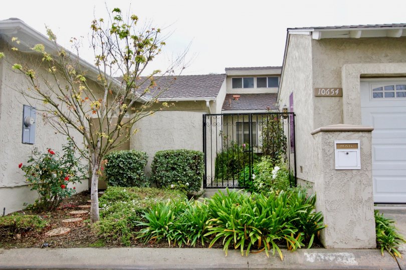 Green Valley Warner Village Condos, Lofts & Townhomes For Sale Green