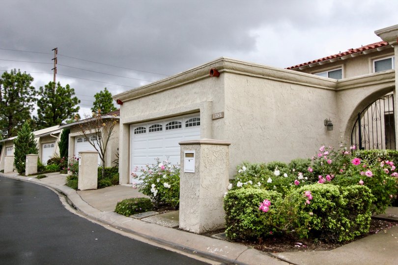 Green Valley Warner Village Condos, Lofts & Townhomes For Sale Green