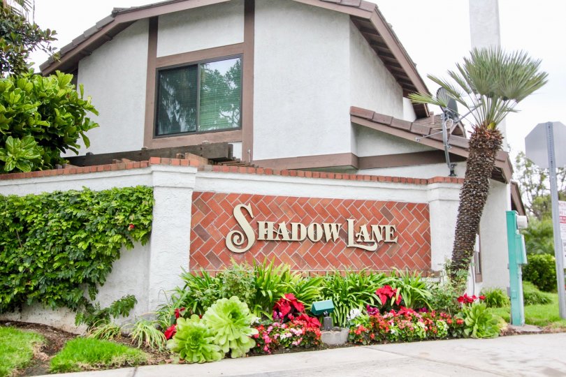 Shadow Lane Condos, Lofts & Townhomes For Sale Shadow Lane Real