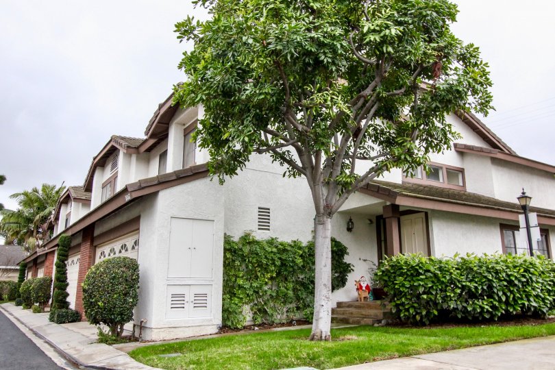 Shadow Lane Condos, Lofts & Townhomes For Sale Shadow Lane Real