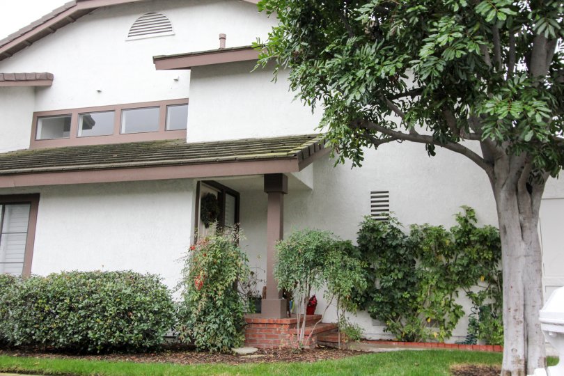 Shadow Lane Condos, Lofts & Townhomes For Sale Shadow Lane Real