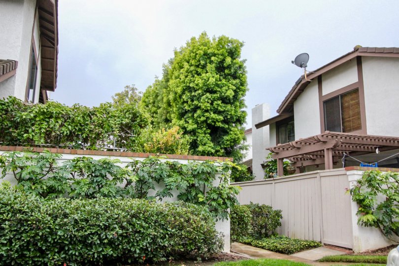 Shadow Lane Condos, Lofts & Townhomes For Sale Shadow Lane Real