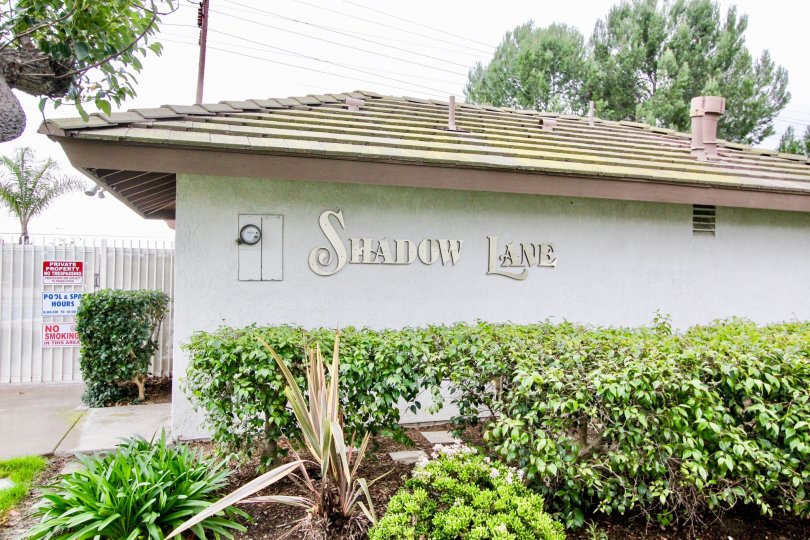 Shadow Lane Condos, Lofts & Townhomes For Sale Shadow Lane Real