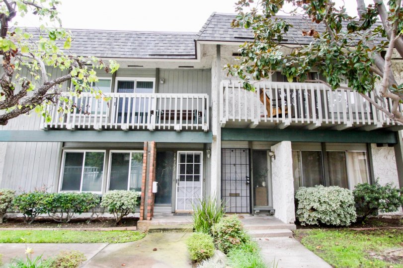 Tiburon North Condos, Lofts & Townhomes For Sale Tiburon North Real