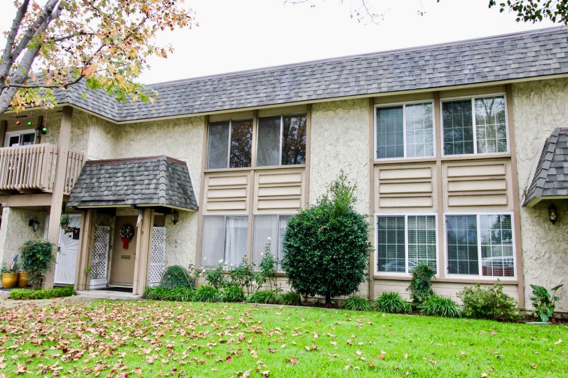 Tiburon North Condos, Lofts & Townhomes For Sale Tiburon North Real