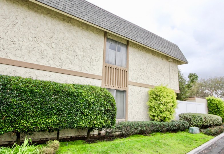 Tiburon North Condos, Lofts & Townhomes For Sale Tiburon North Real