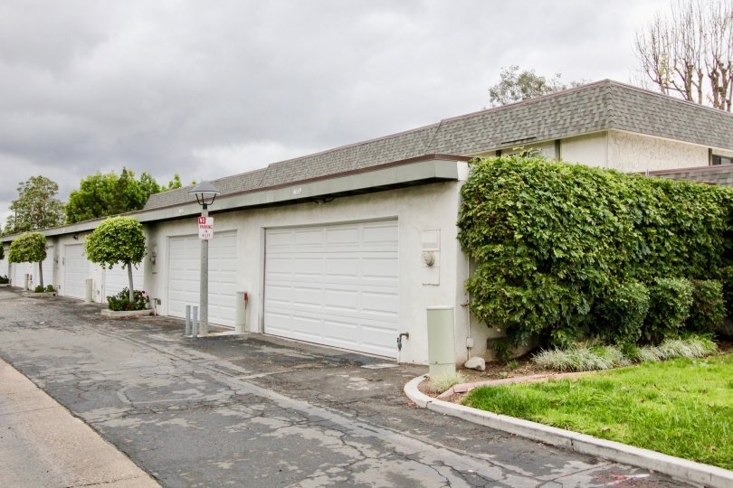 Tiburon North Condos, Lofts & Townhomes For Sale Tiburon North Real