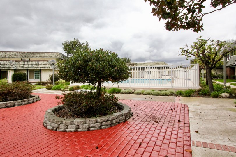 Tiburon North Condos, Lofts & Townhomes For Sale Tiburon North Real