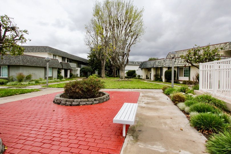 Tiburon North Condos, Lofts & Townhomes For Sale Tiburon North Real