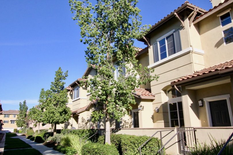 Amerige Heights Condos, Lofts & Townhomes For Sale Amerige Heights