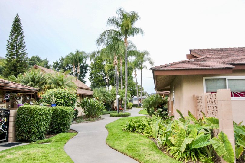 Coco Palms Condos, Lofts & Townhomes For Sale Coco Palms Real Estate