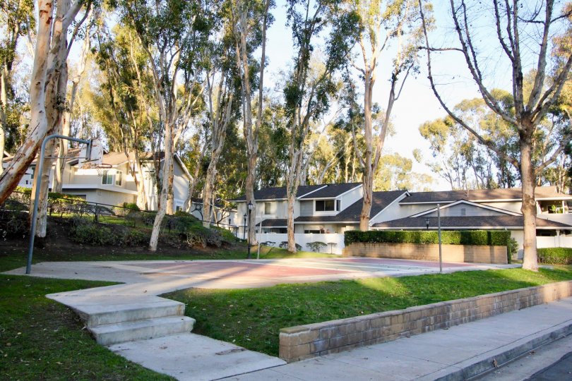 Coyote Hills Bluffs Condos, Lofts & Townhomes For Sale Coyote Hills