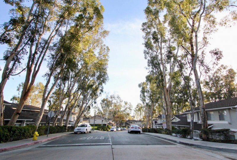 Coyote Hills Bluffs Condos, Lofts & Townhomes For Sale Coyote Hills