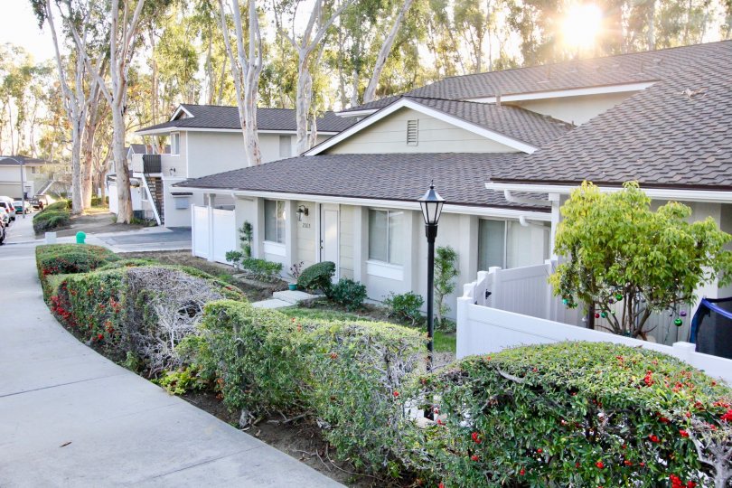 Coyote Hills Bluffs Condos, Lofts & Townhomes For Sale Coyote Hills