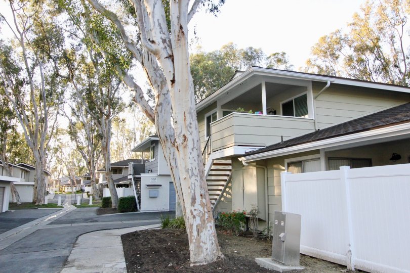 Coyote Hills Bluffs Condos, Lofts & Townhomes For Sale Coyote Hills