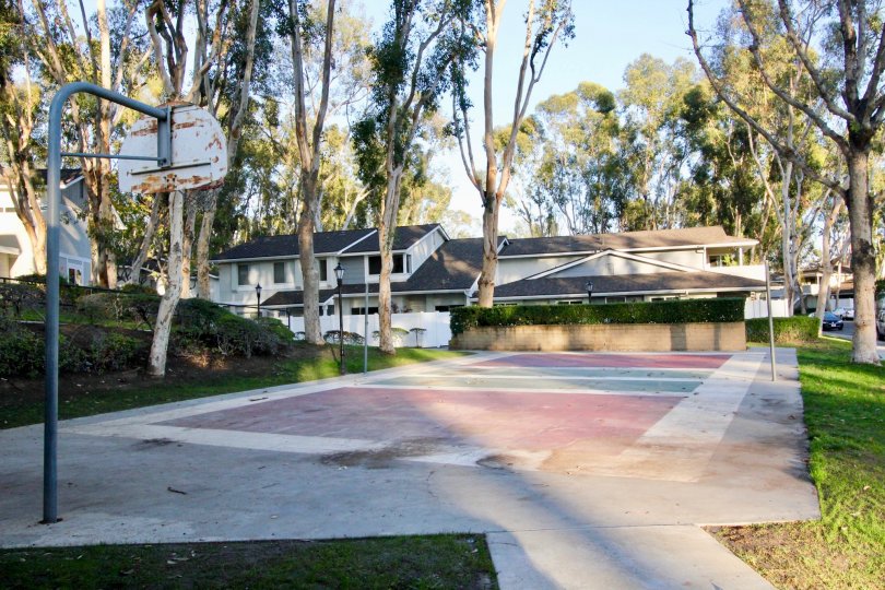 Coyote Hills Bluffs Condos, Lofts & Townhomes For Sale Coyote Hills