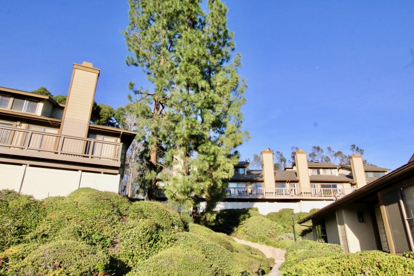 Coyote Hills Greens Condos, Lofts & Townhomes For Sale Coyote Hills