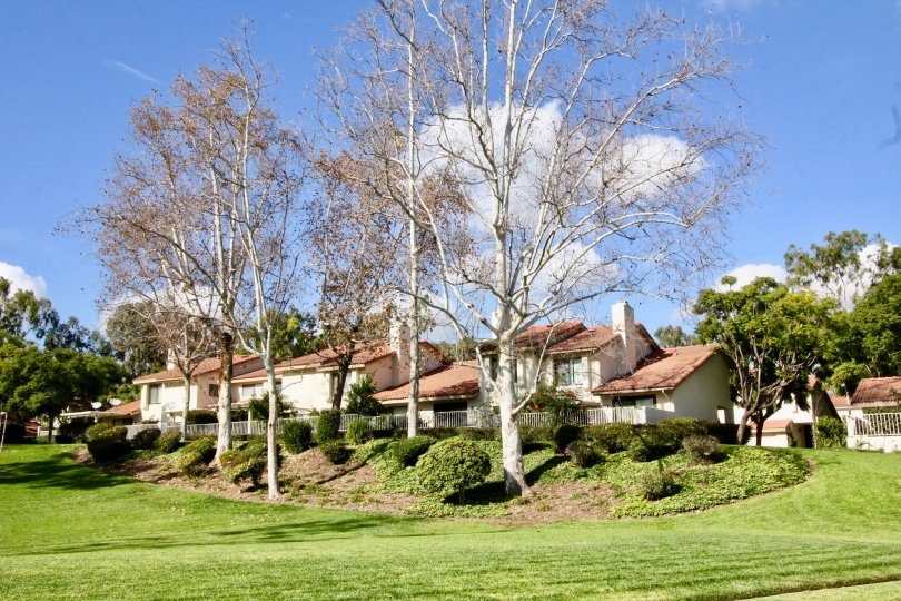 Malvern Creek Condos, Lofts & Townhomes For Sale Malvern Creek Real