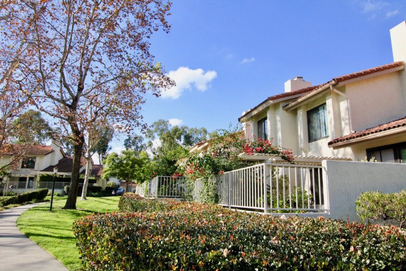 Malvern Creek Condos, Lofts & Townhomes For Sale Malvern Creek Real