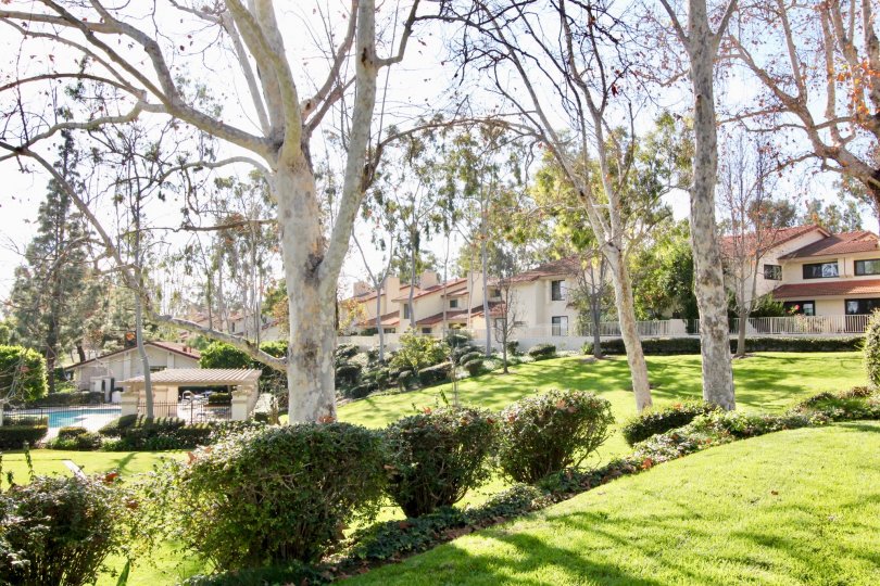 Malvern Creek Condos, Lofts & Townhomes For Sale Malvern Creek Real