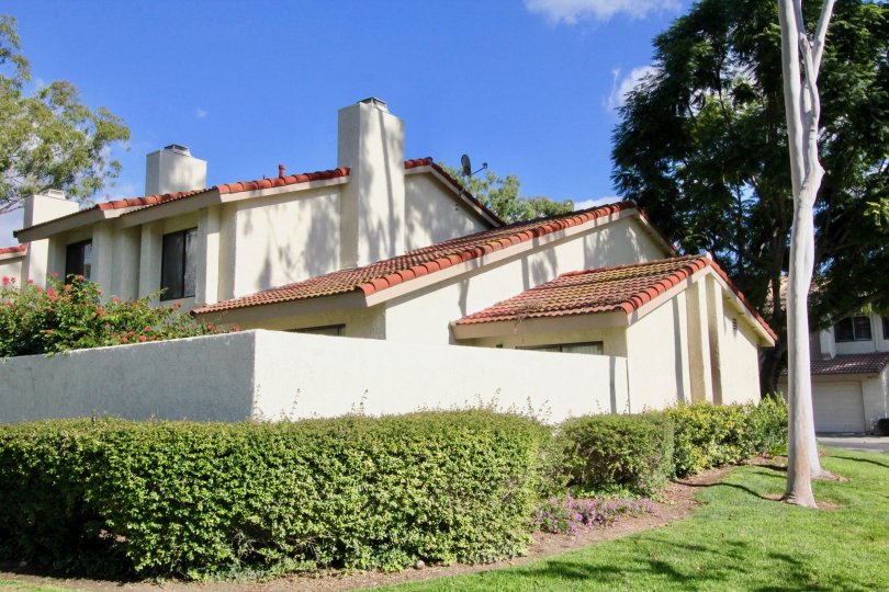 Malvern Creek Condos, Lofts & Townhomes For Sale Malvern Creek Real