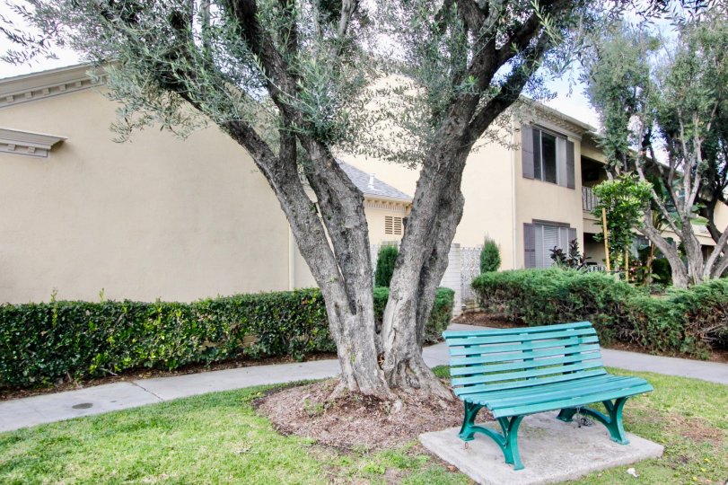 Meredith Manor Condos, Lofts & Townhomes For Sale Meredith Manor Real Estate Meredith Manor