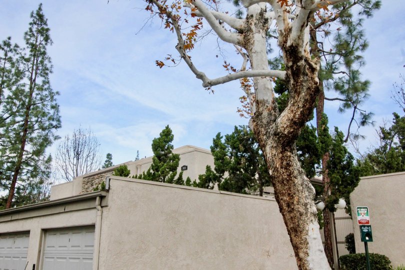 Park Ridge Condos, Lofts & Townhomes For Sale Park Ridge Real Estate