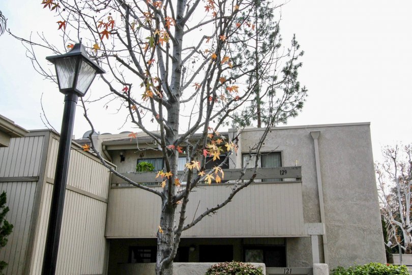 Park Ridge Condos, Lofts & Townhomes For Sale Park Ridge Real Estate