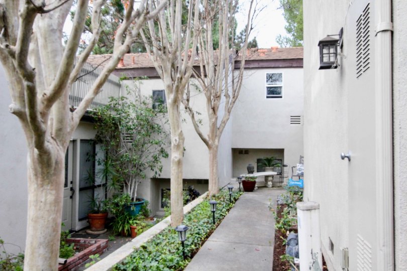 Park Vista Condos, Lofts & Townhomes For Sale Park Vista Real Estate