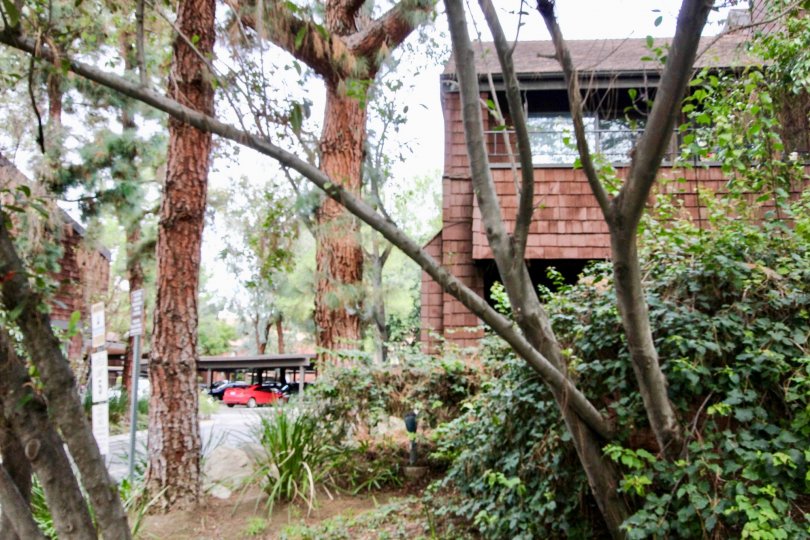 Quail Ridge Condos, Lofts & Townhomes For Sale Quail Ridge Real