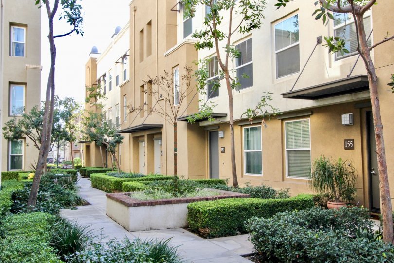 Soco Walk Condos, Lofts & Townhomes For Sale Soco Walk Real Estate