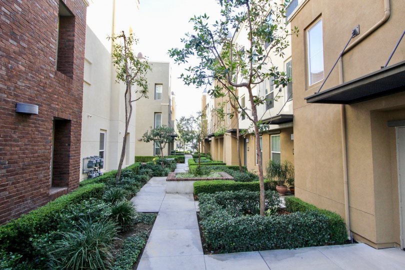 Soco Walk Condos, Lofts & Townhomes For Sale Soco Walk Real Estate