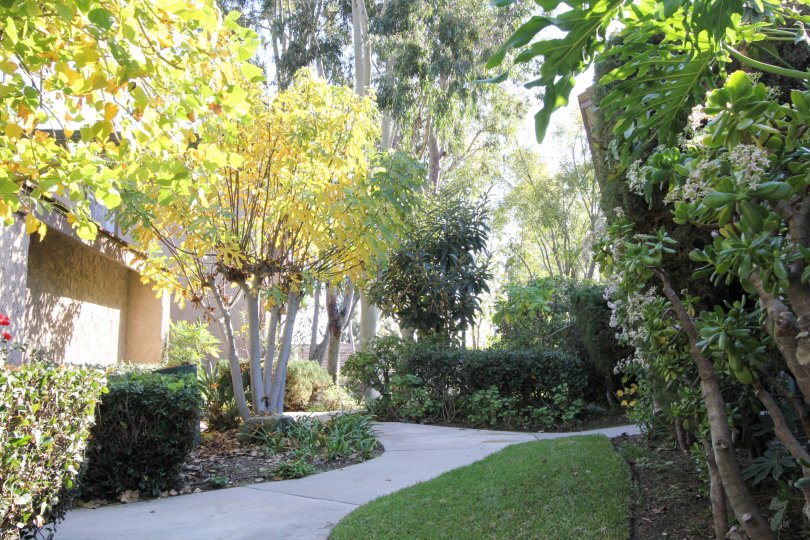 Sunny Ridge Townhomes Condos, Lofts & Townhomes For Sale Sunny Ridge