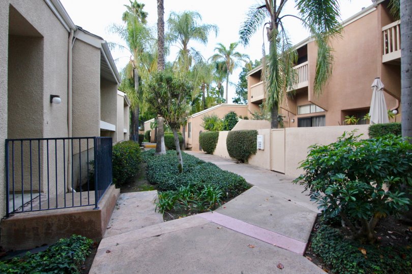 Water Gardens Condos, Lofts & Townhomes For Sale Water Gardens Real