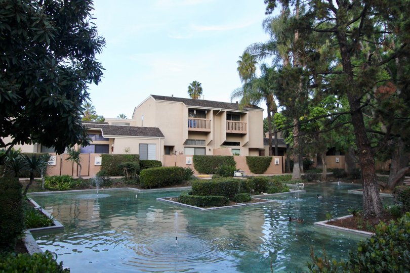 Water Gardens Condos, Lofts & Townhomes For Sale Water Gardens Real