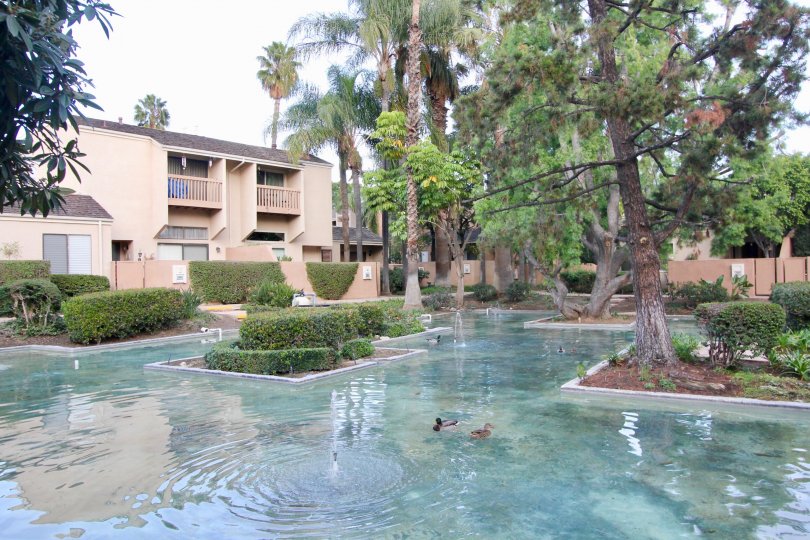 Water Gardens Condos, Lofts & Townhomes For Sale Water Gardens Real