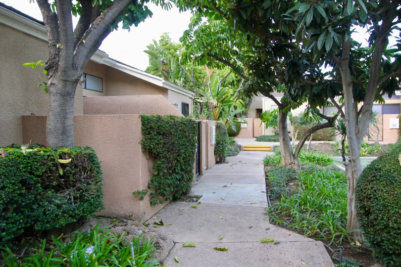 Water Gardens Condos, Lofts & Townhomes For Sale Water Gardens Real