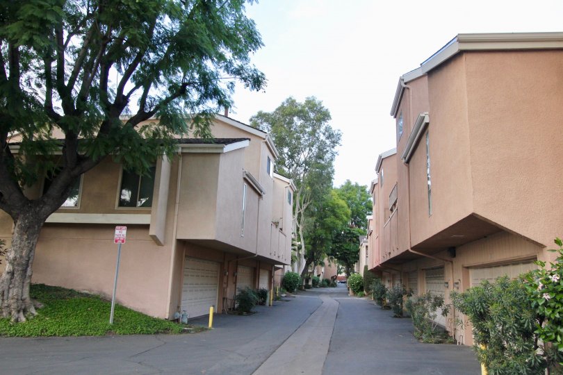 Water Gardens Condos, Lofts & Townhomes For Sale Water Gardens Real