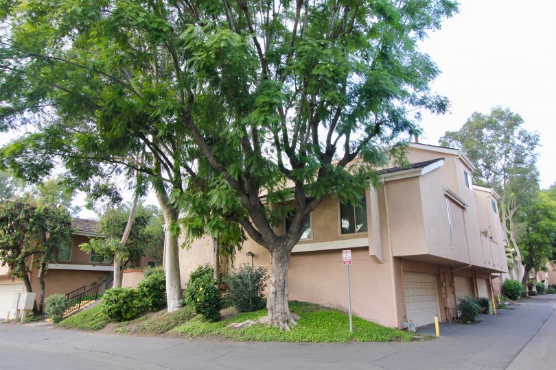 Water Gardens Condos, Lofts & Townhomes For Sale Water Gardens Real