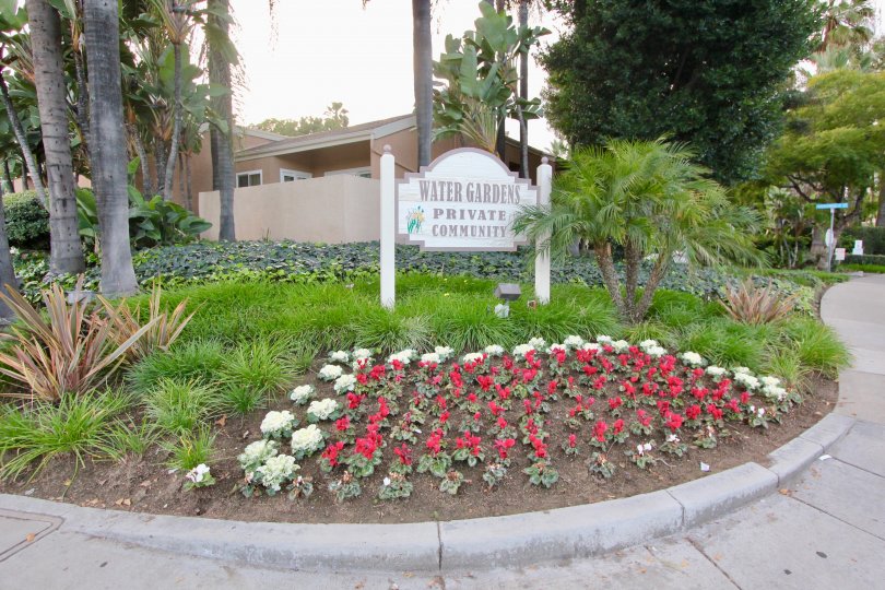 Water Gardens Condos, Lofts & Townhomes For Sale | Water Gardens Real