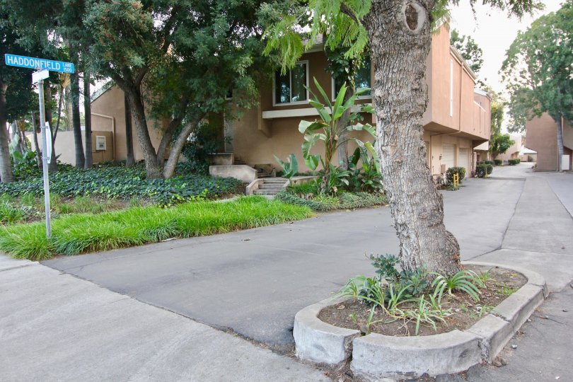 Water Gardens Condos, Lofts & Townhomes For Sale | Water Gardens Real