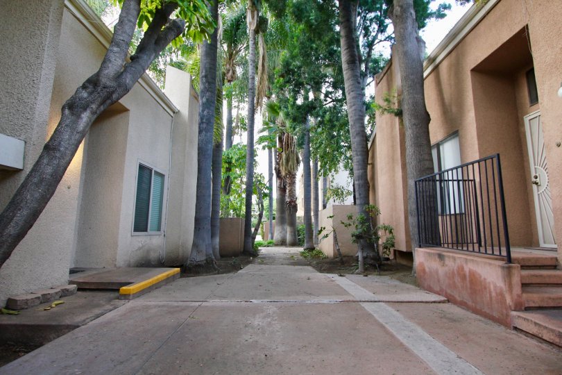 Water Gardens Condos, Lofts & Townhomes For Sale Water Gardens Real