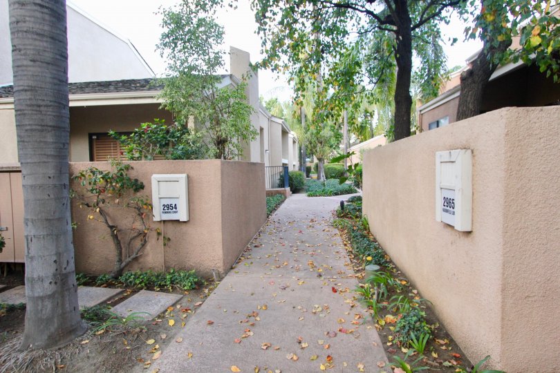 Water Gardens Condos, Lofts & Townhomes For Sale Water Gardens Real