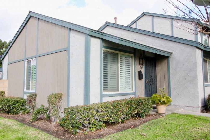 Brookdale Condos, Lofts & Townhomes For Sale Brookdale Real Estate