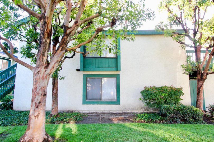 Greenhouse West Condos, Lofts & Townhomes For Sale Greenhouse West