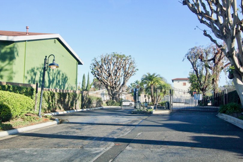 Greenhouse West Condos, Lofts & Townhomes For Sale Greenhouse West